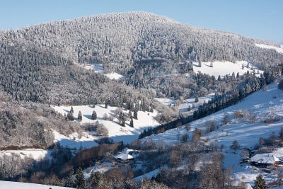 黑森林德国美丽的雪景