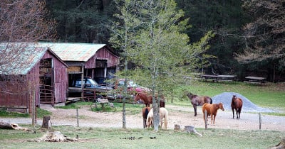 美国农村的场景