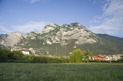 山