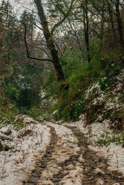 雪中的道路-雄伟的冬季景观在喜马拉雅山