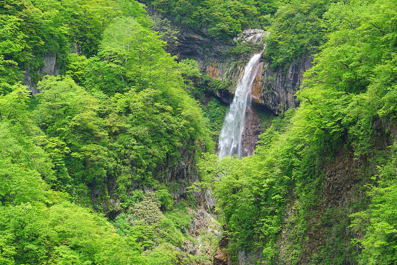 寿塔基瀑布，妙子市，新泻县，日本