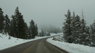 雪和雾在冬季森林，驾驶汽车，公路旅行在冬季美国犹他州。针叶树，透过汽车挡风玻璃的神秘景色。迷雾布莱斯