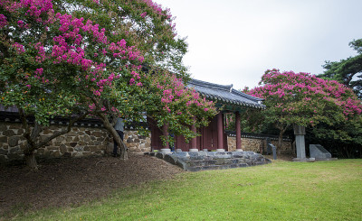 图为，紫薇盛开的光州普忠寺