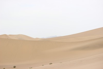 沙丘
