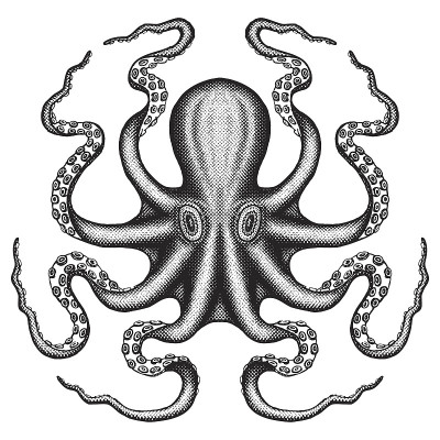章鱼海怪