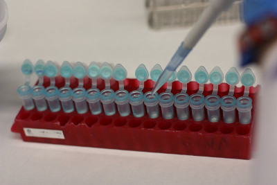 材料de laboratorio