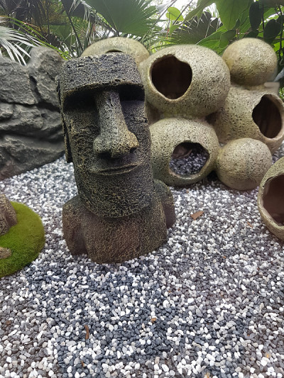 玛雅遗址