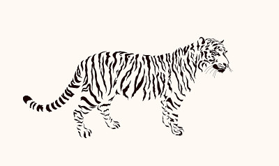 老虎条纹。掠夺性野猫的肖像。中国2022年新年的象征。野生动物和动物群的居民。矢量插图。孤立在白色背