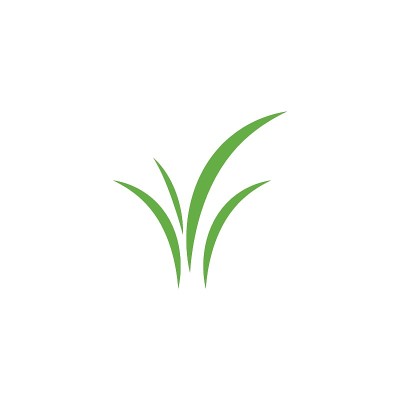 草预展标志