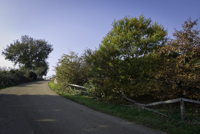 有篱笆的乡村道路。