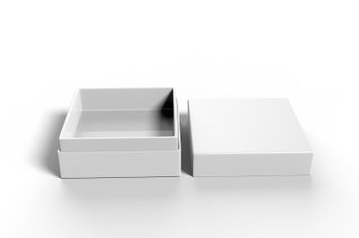 白色空白豪华硬颈盒与内部foxing品牌展示和模拟，3d插图。