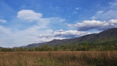 春山景观4