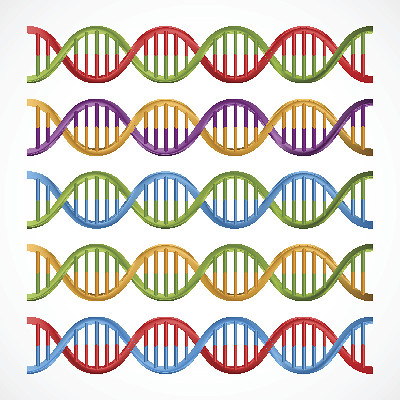 DNA图标，科学和医学的符号。