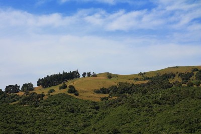 新西兰的绿山