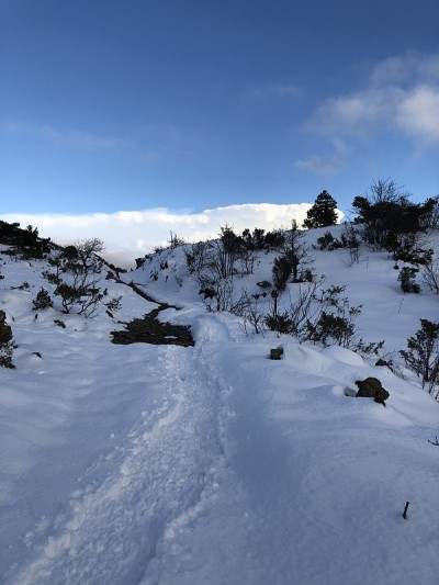雪覆盖了村庄