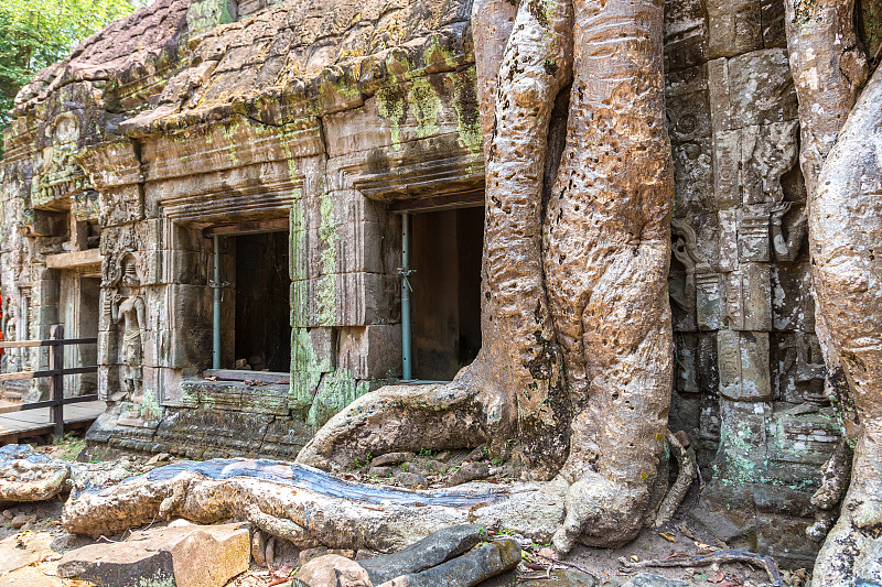 吴哥窟的Ta Prohm temple in Angkor Wat