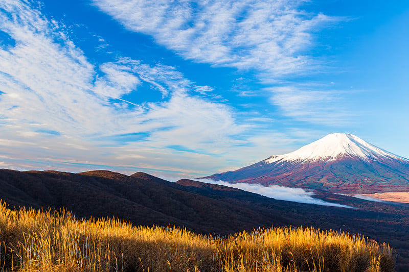 Mt.Fuji