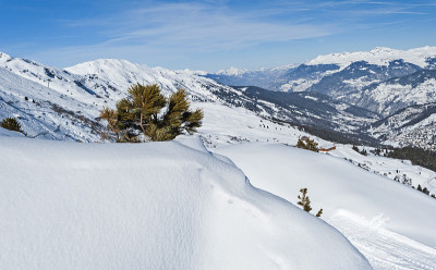 全景下的雪覆盖山谷在高山山脉与针叶松树