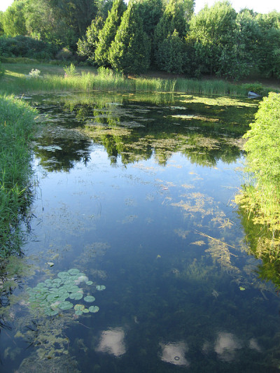 Monet-like Pond_4