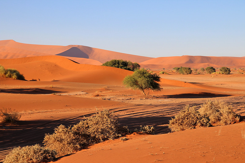 巨大的红色沙丘Sossusvlei Namib沙漠-纳米比亚- naukluft国家公园，纳米比亚，