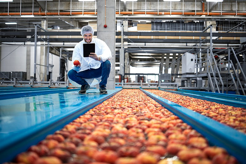 技术员站在食品加工厂，检查苹果水果的质量。