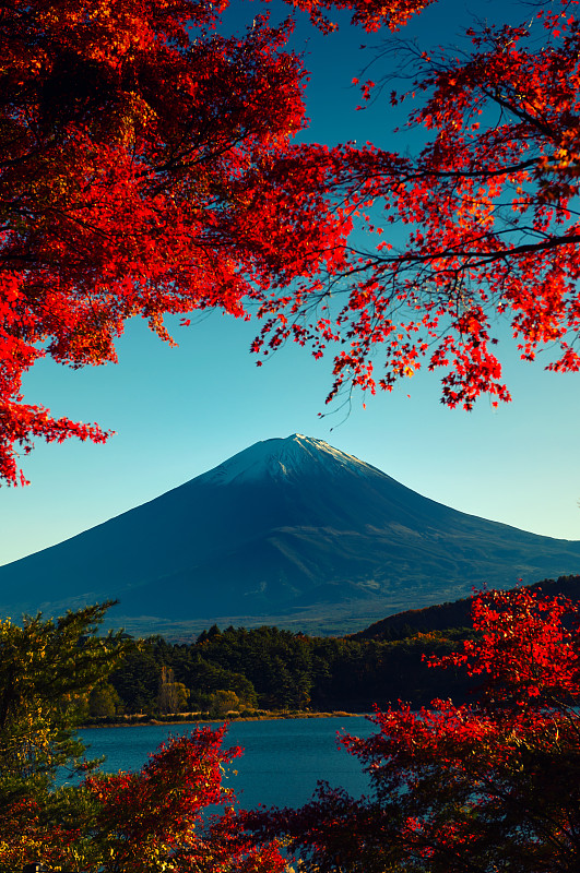 Mt.Fuji在秋天