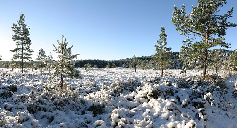 苏格兰的雪景