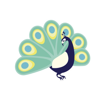 孔雀。平面向量插图