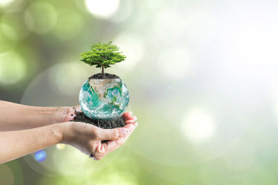 世界土壤日的概念与绿化地球:这张照片的元素由美国宇航局提供
