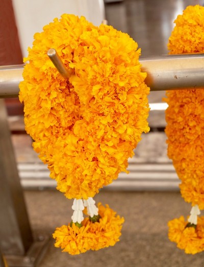 黄色的金盏花花环挂在杆子上