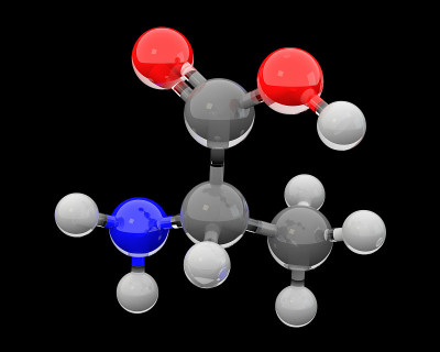 丙氨酸分子的三维玻璃模型
