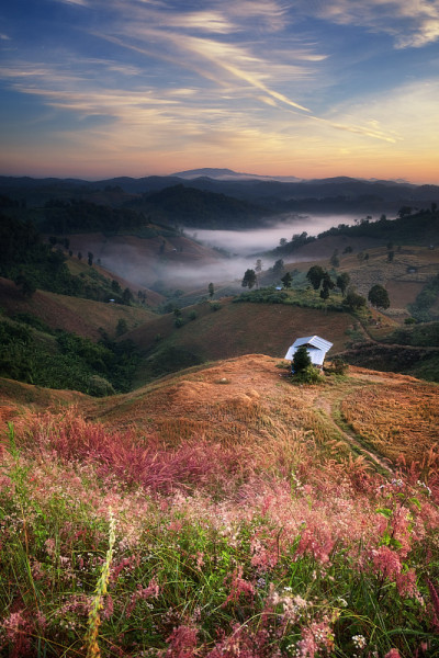 山