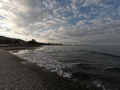 青岛岛的海岸景色