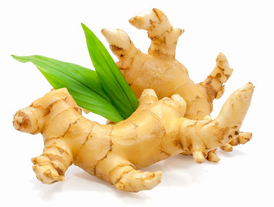 在白色背景上分离的姜香料根