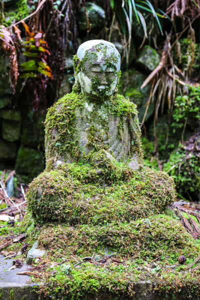 青苔林里的古代佛像。