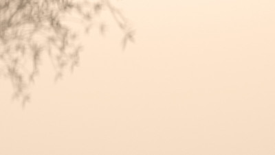 产品显示的米色背景。在纸背景上的植物树枝的影子。产品演示模板。