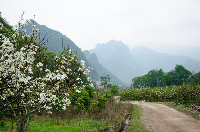 群山和乡村景色