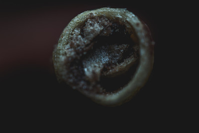微晶片