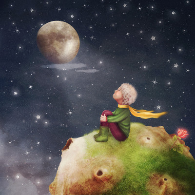 在天空的星球上，小王子带着一朵玫瑰