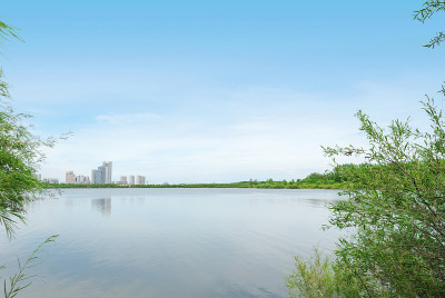 太阳岛西滩湿地公园