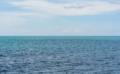 海羽轴