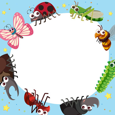 边界模板与不同类型的bug