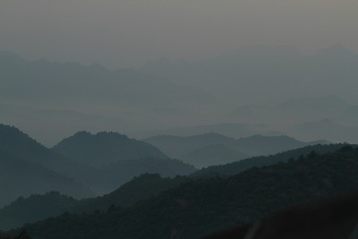 金沙林日出