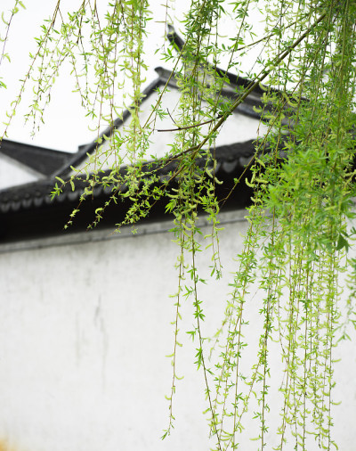 中国无锡当口乡乡土建筑