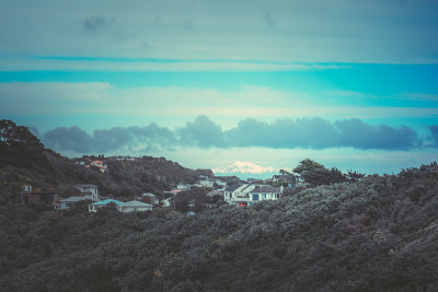 惠灵顿，新西兰自然景观;复古风格