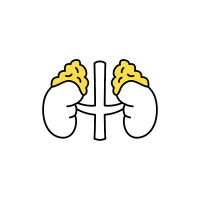 人体器官肾上腺颜色线图标。象形文字网页，移动应用