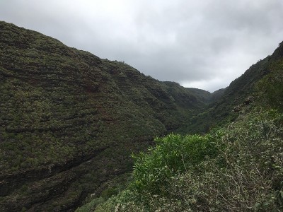 冬季，夏威夷考艾岛波利黑尔附近的纳帕利海岸的悬崖。