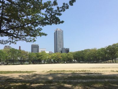 茂盛的公园