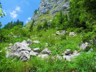 山坡