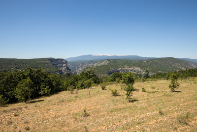 普罗旺斯Vaucluse地区的风景，背景是Ventoux山。法国